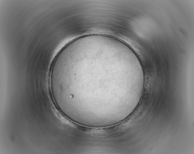 X0000112091094200908181259