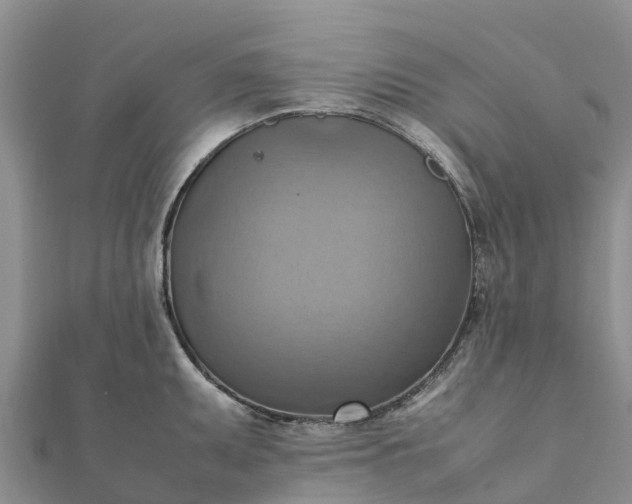 X0000112091095200908181259