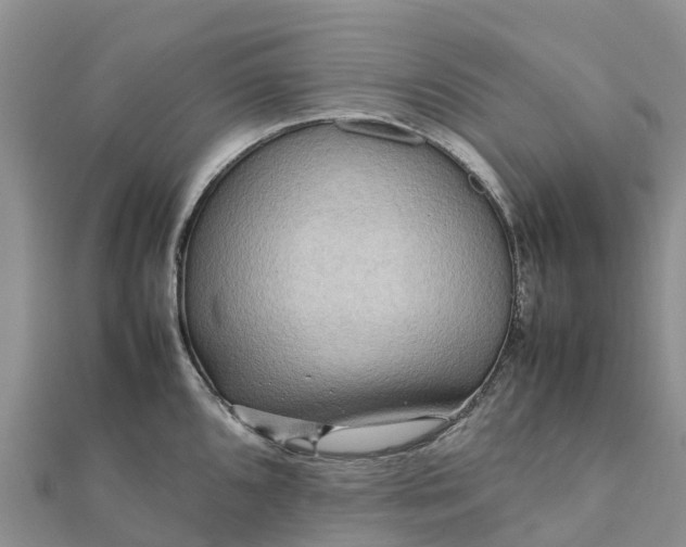 X0000112091096200908181259