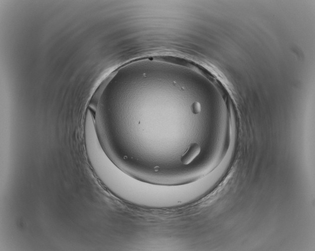 X0000112091097200908181259