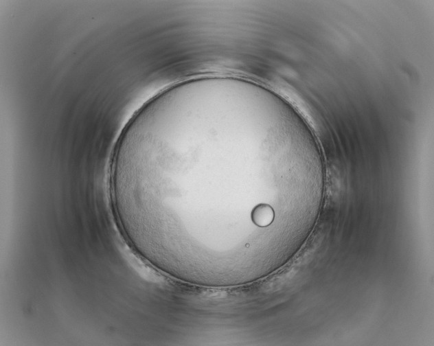 X0000112091098200908181258