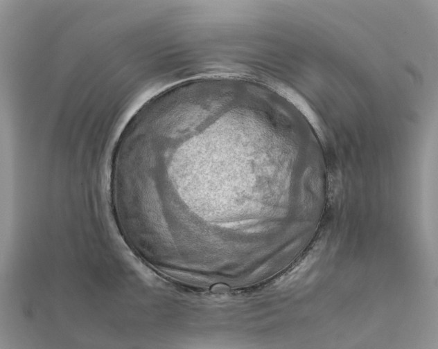 X0000112091099200908181258