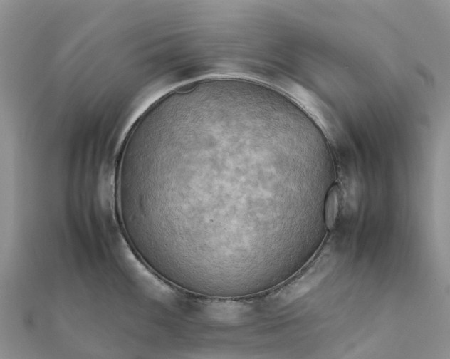 X0000112091100200908181258