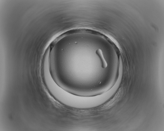 X0000112091101200908181258