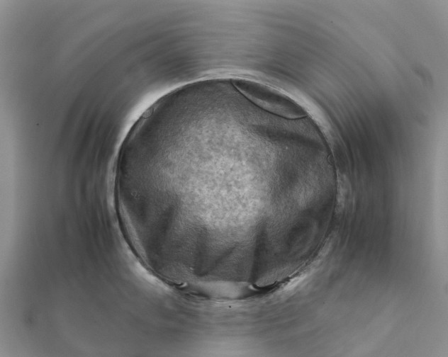 X0000112091102200908181258