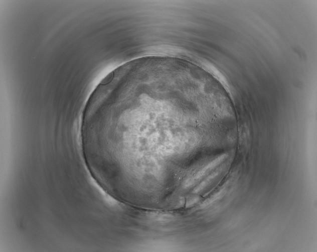 X0000112091103200908181258