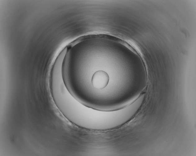 X0000112091104200908181258