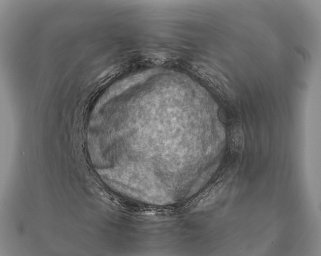 X0000112091105200908181258