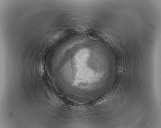 X0000112091106200908181258