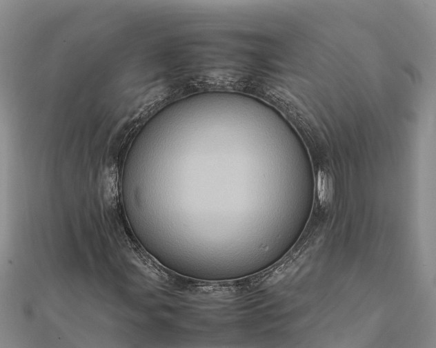 X0000112091107200908181258