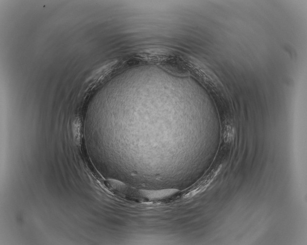 X0000112091108200908181258