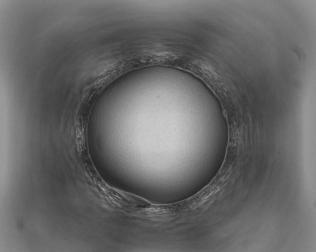 X0000112091109200908181258