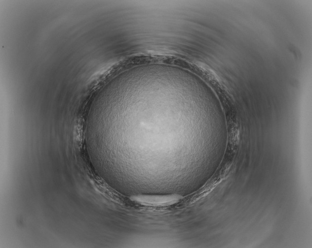 X0000112091110200908181258