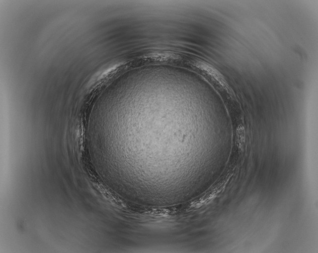 X0000112091111200908181258