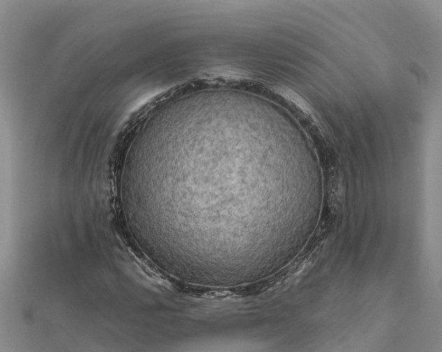 X0000112091112200908181258