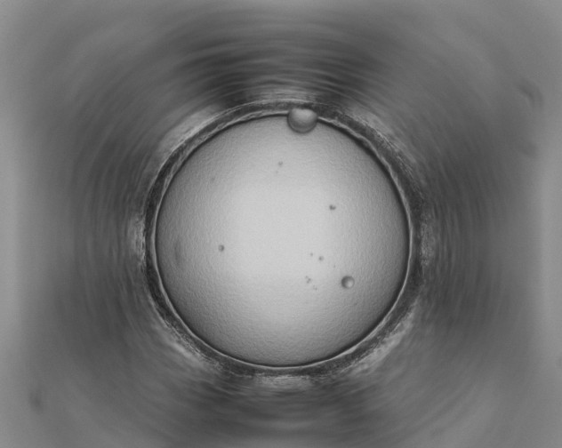 X0000112091113200908181258