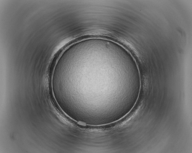 X0000112091114200908181258