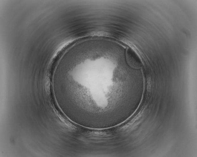 X0000112091115200908181258