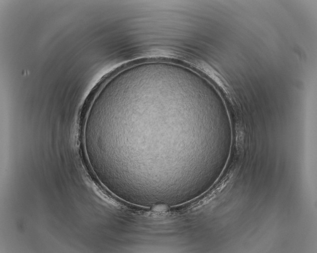 X0000112091116200908181258