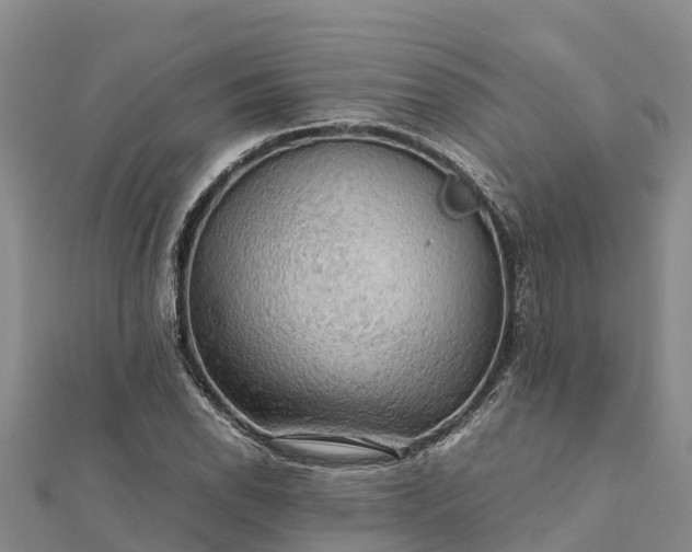 X0000112091118200908181258