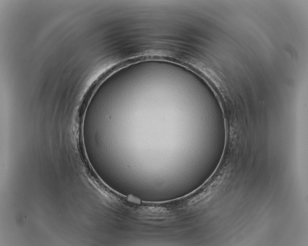 X0000112091119200908181258