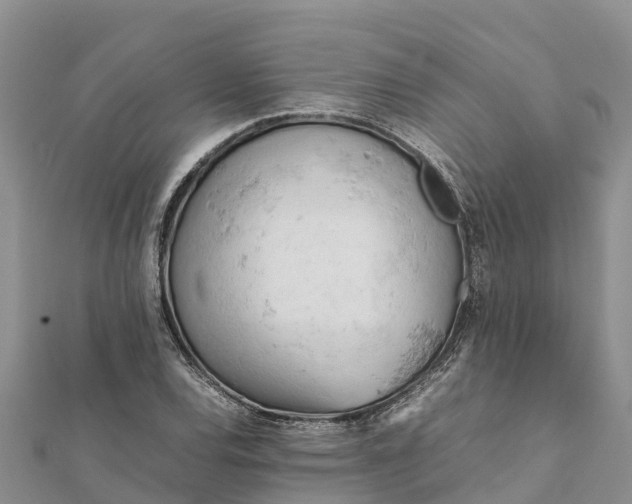 X0000112091120200908181258