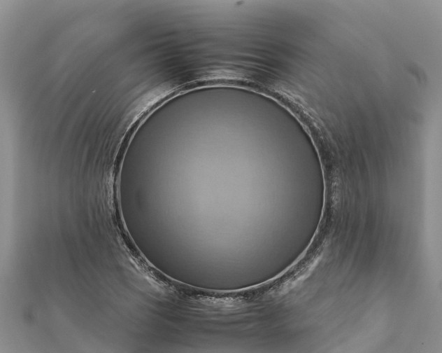 X0000112091121200908181258