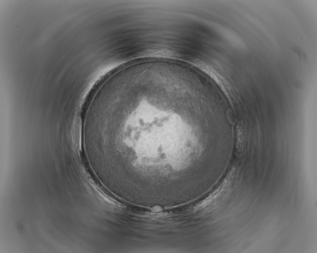 X0000112091123200908181258