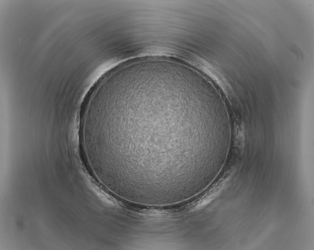 X0000112091124200908181258