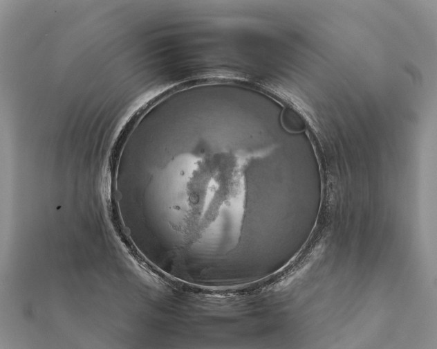 X0000112091125200908181258