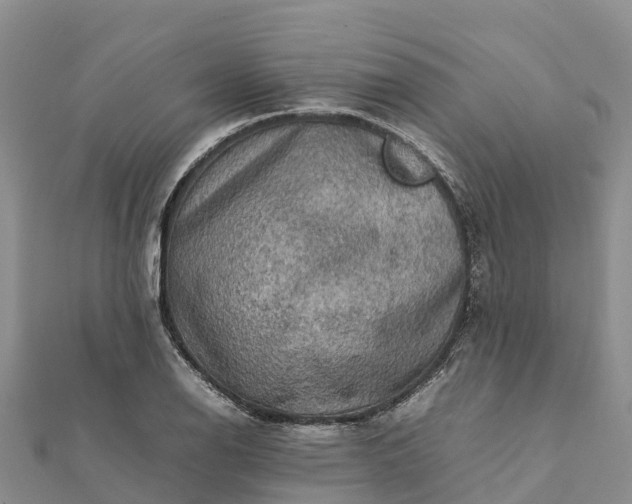 X0000112091126200908181258