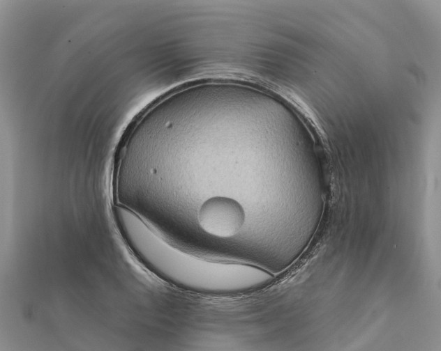 X0000112091128200908181258