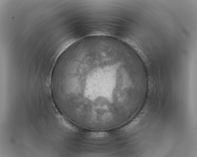 X0000112091129200908181258