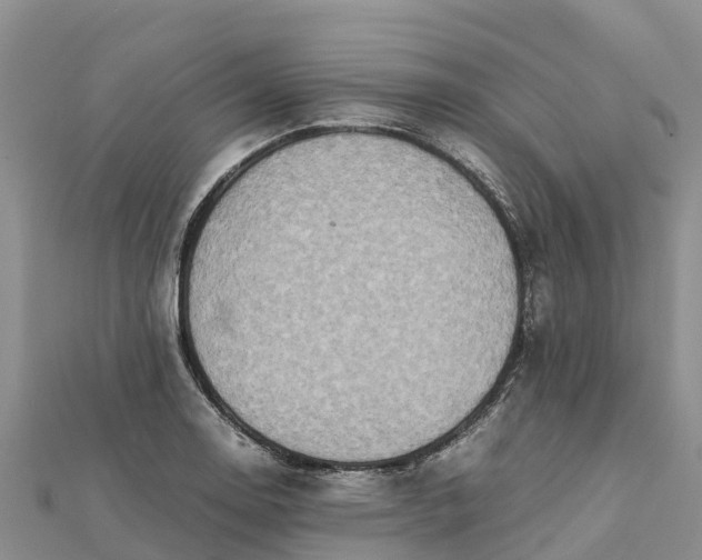 X0000112091130200908181258