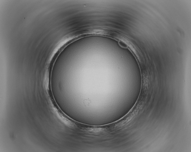 X0000112091131200908181258