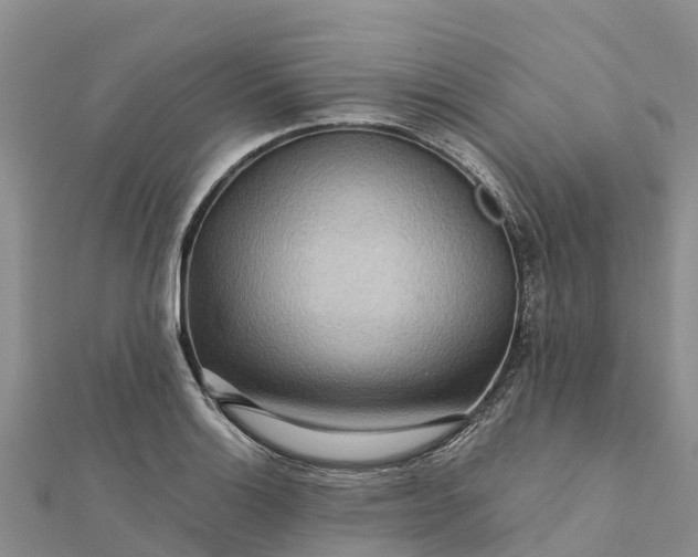 X0000112091132200908181258