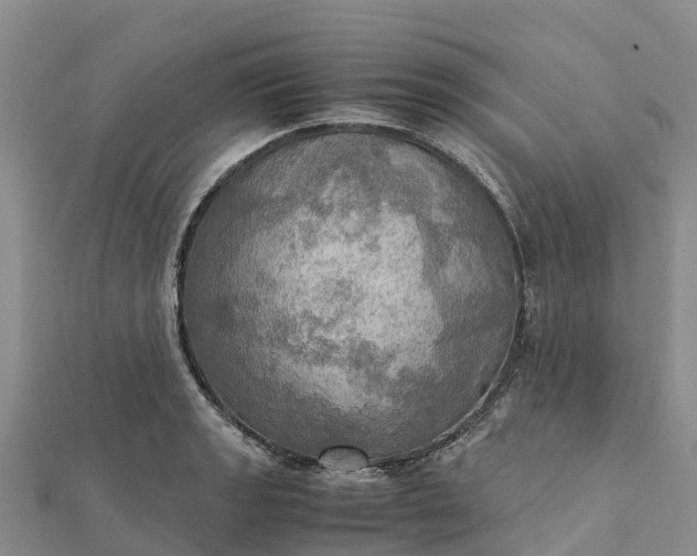 X0000112091133200908181258