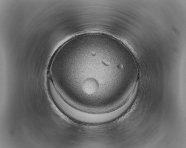 X0000112091134200908181258