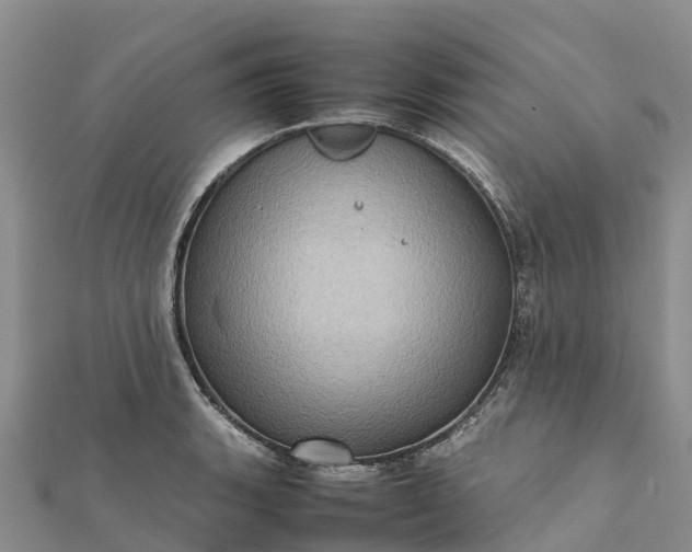 X0000112091135200908181258