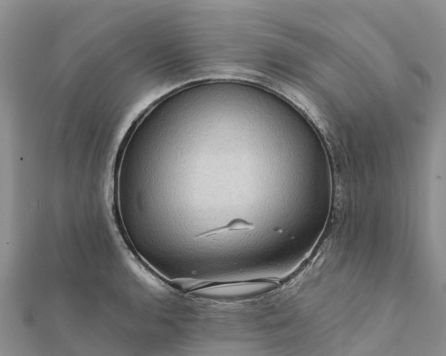 X0000112091136200908181258