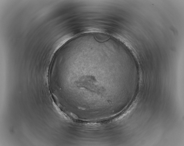 X0000112091137200908181258