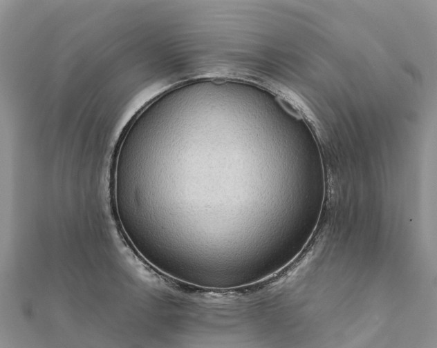 X0000112091138200908181258