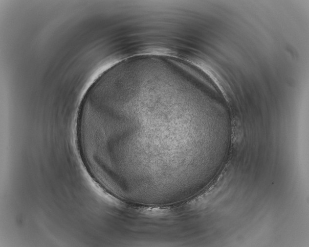 X0000112091139200908181258