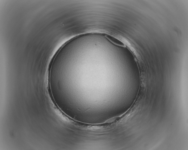 X0000112091140200908181258