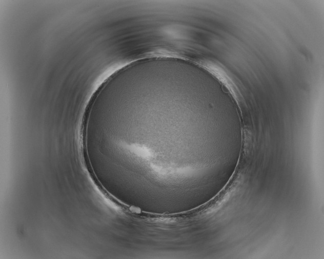 X0000112091141200908181258