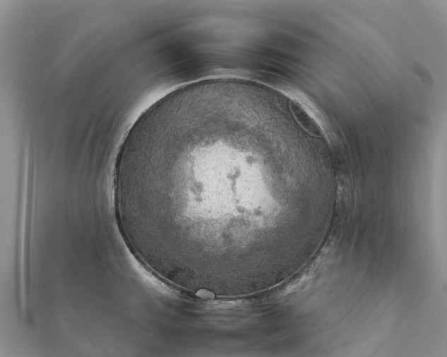 X0000112091143200908181258