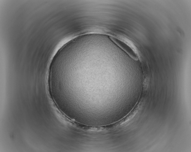 X0000112091146200908181258