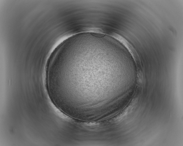 X0000112091147200908181258