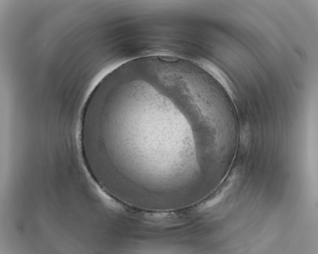 X0000112091149200908181258