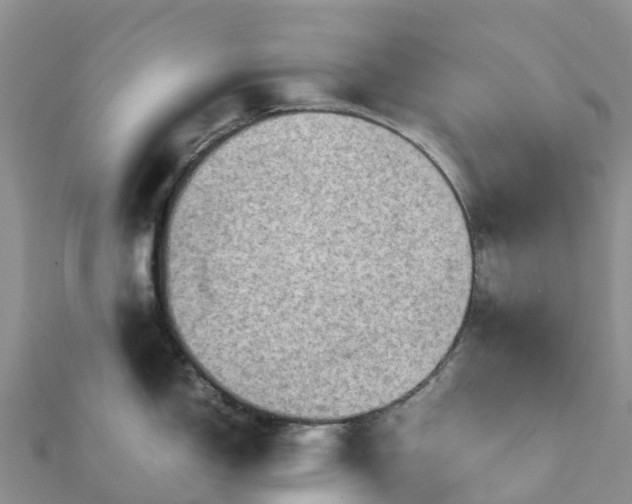 X0000112091150200908181258